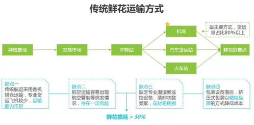 云阔 鲜花电商运营大纲