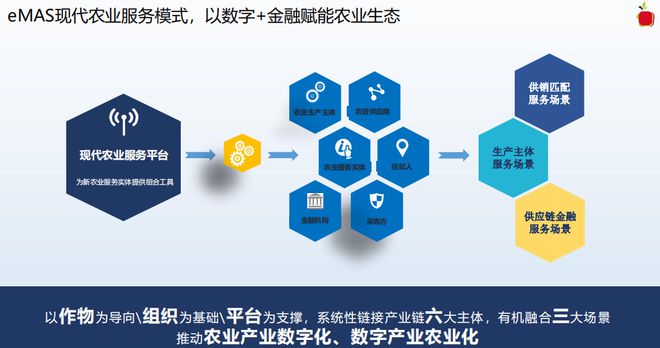 农产品|产业链|苹果公司|财务会计|财务报表|市场规模_.